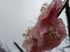 -湖南嵩云山国家森林公园