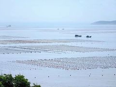 -大京沙滩