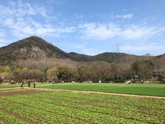 -八卦田遗址公园
