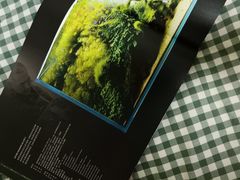 -ADA自然水景世界