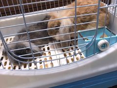 -龟与熊猫宠物公园(南坪店)