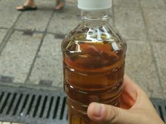 -大声公凉茶