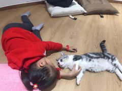 -1013 PET SHOP精品宠物商店(丁香店)