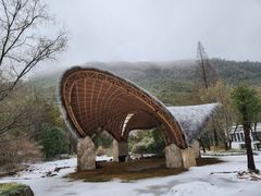 -阿露佳·舌尖上的安吉菜