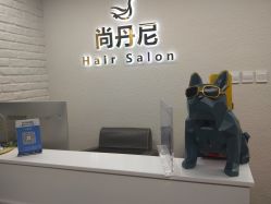 -尚丹尼造型