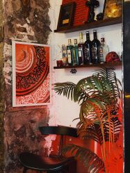 -脱白计划纹身集团