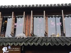 -狐狸家·酸奶酪专门店(平江路店)