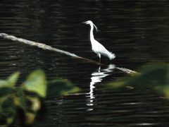 -重庆彩云湖湿地公园
