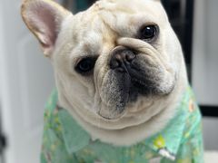 -爱侣宠医·鹦鹉专科·小型哺乳类·异宠专科(灵石路店)