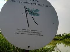 -白鹭湾湿地公园