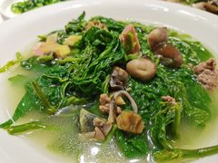土猪肉浸桑叶-渔意楼·驰名沙田乳鸽(五羊旗舰店)