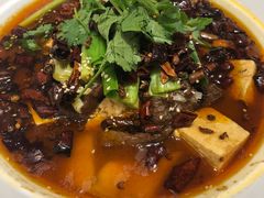 -新吉士·上海菜(浦东LCM置汇旭辉店)