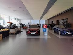 -河南威佳金凯汽车销售服务有限公司