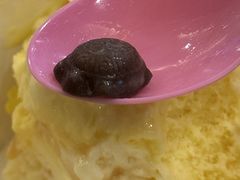 海龟松露-芭斯罗缤31冰淇淋(BHG MALL上地店)
