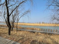 -野鸭湖国家湿地公园