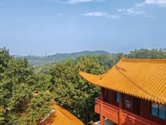 -深圳仙湖植物园