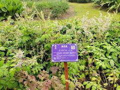 -广西壮族自治区药用植物园