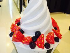 -JW德国冻酸奶Frozen Yogurt(龙湖成都滨江天街店)
