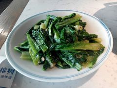 -大榕树下顺德菜(融创茂店)