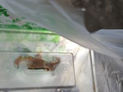 -牛街清顺斋小吃(牛街东里小区一区店)