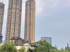 -成都市活水公园