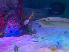 -沈阳海洋探索中心