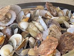 -四海蒸鲜蒸汽海鲜自助(北戴河店)