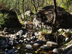 -云岫谷游猎自然风景区