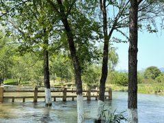 -永定河休闲森林公园