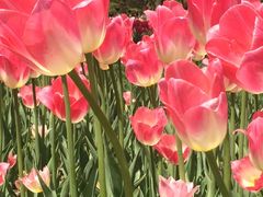 -长春公园(普阳街道)