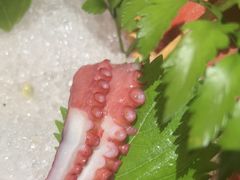 -樱之盛宴·蟹料理海鲜自助(前进大街店)