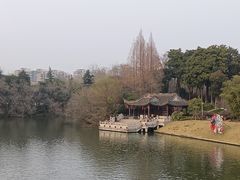 -梅园