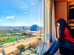 -拉斯维加斯永利酒店