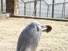 -盐城丹顶鹤湿地生态旅游区