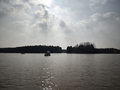 -上海海湾国家森林公园