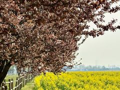 -汉长安城未央宫国家考古遗址公园