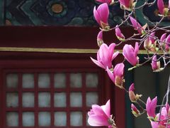 -潭柘寺景区