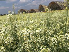 -中国天府农业博览园