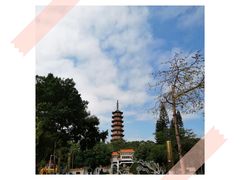 -人民公园(罗湖区)