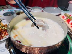 -洪氏嗨捞·广东猪肚鸡·椰子鸡火锅(西咸万象城店)