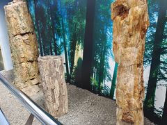 -延庆地质公园博物馆