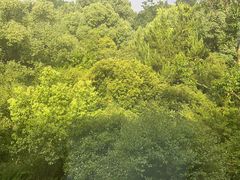 -杭州口腔医院(平海院区)