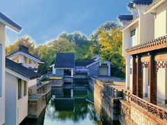 -上海共青森林公园