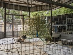 -天毓山庄·餐厅