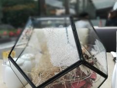 -亮马河饭店翠雅咖啡厅