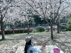 -幕燕滨江·燕子矶公园