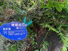 -呀诺达热带雨林