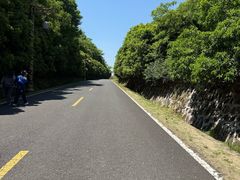 -宜兴龙背山森林公园