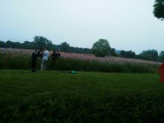 -中医药大学-第2食堂