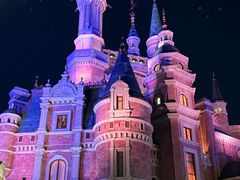 -上海迪士尼度假区